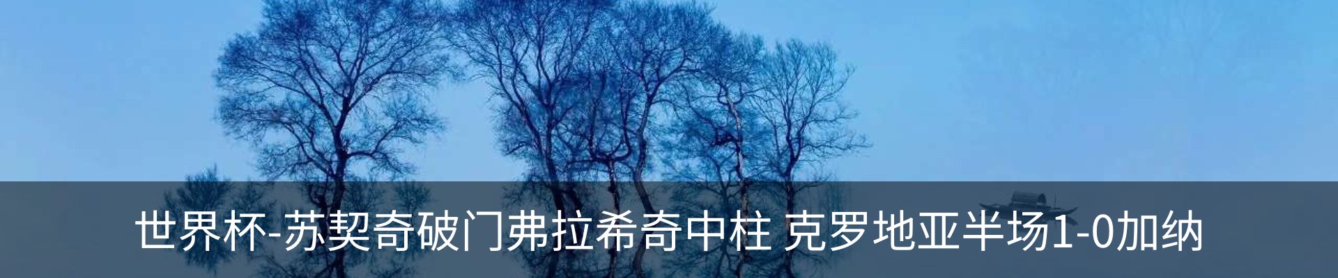 新闻动态