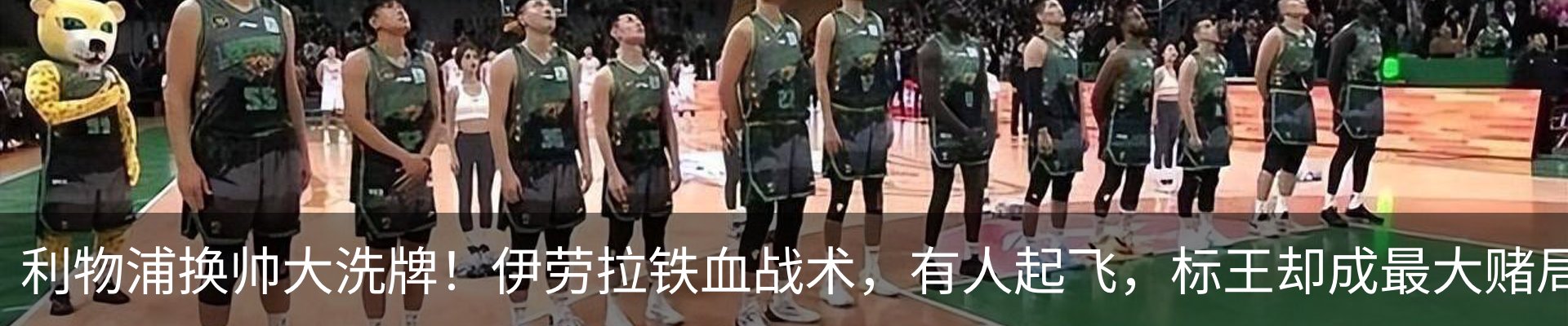 新闻动态