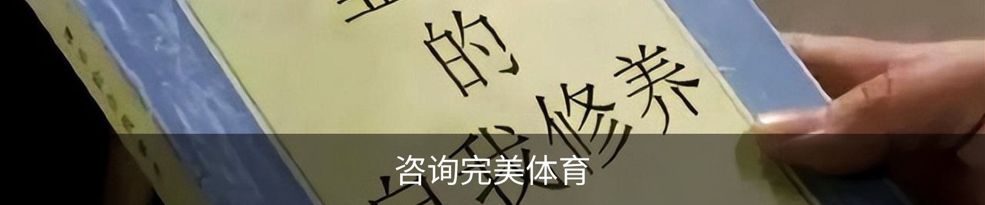 咨询完美体育