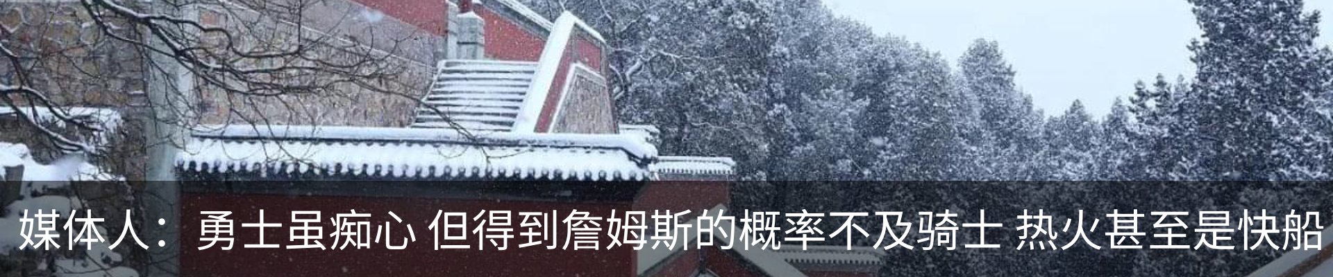 新闻动态
